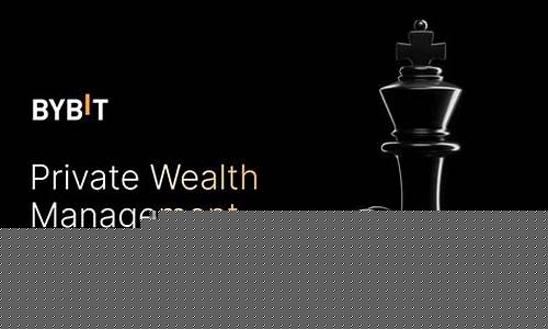 Bybit私人财富管理市场融合期基金业绩耀眼