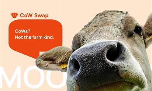 CowSwap前端遭袭无损Aave:DeFi防线坚不可摧 CowSwap前端遭袭无损Aave:DeFi防线坚不可摧