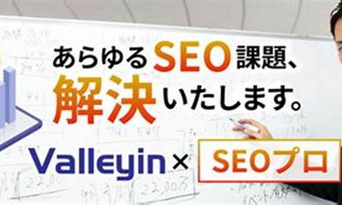SEO建设公司