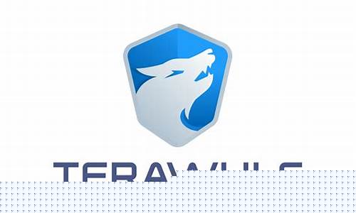 TeraWulf布局战略，迈向全新征程
