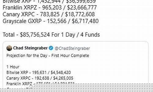 XRP记录引发热议，紧急事件深度剖析
