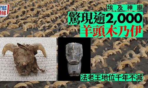 《埃及惊现2588亿韩元购并纠葛，W3C面临诉讼风暴》
