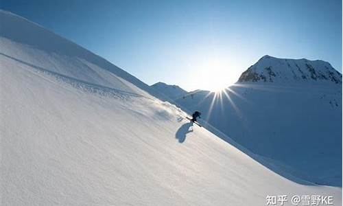 博金巨头拥抱雪崩链：8万亿市值企业股东投票迈入新纪元