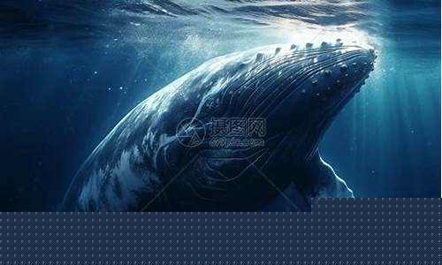 巨鲸沦陷：两千账号失守，遭遇勒索恐吓！