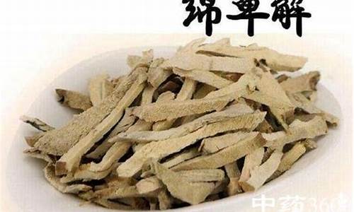 绵萆薢的功效与作用介绍