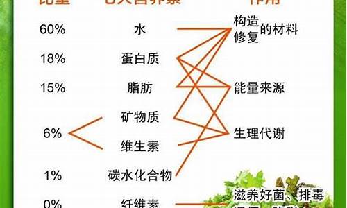 膳食纤维的六大功能有哪些