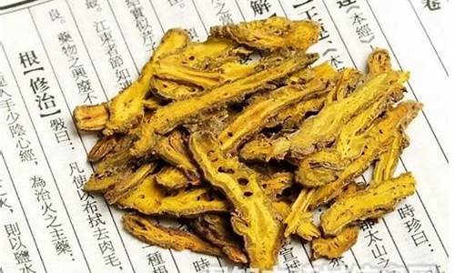 黄连的功效与作用及食用方法